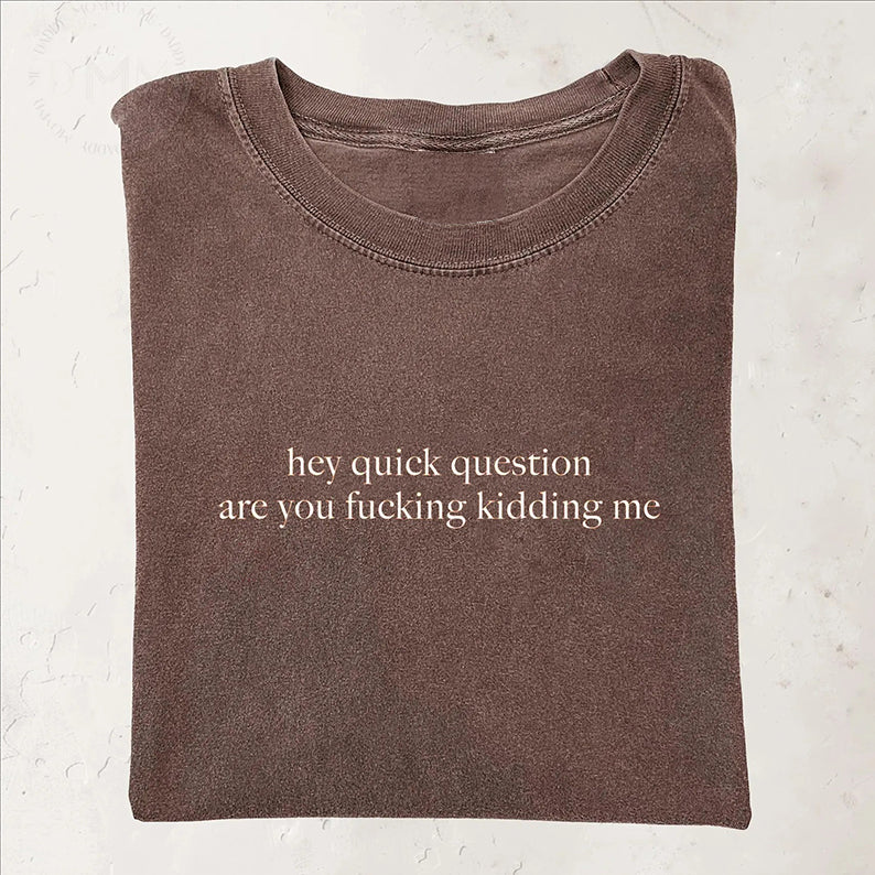 Hey Quick Question Are You Kidding Me T-shirt