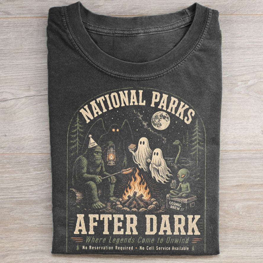 National Parks After Dark T-shirt